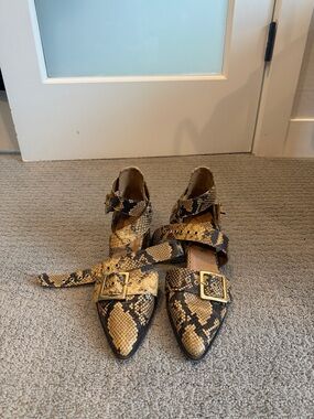Pointed Snake-Print Buckle Flats in Tan & Black